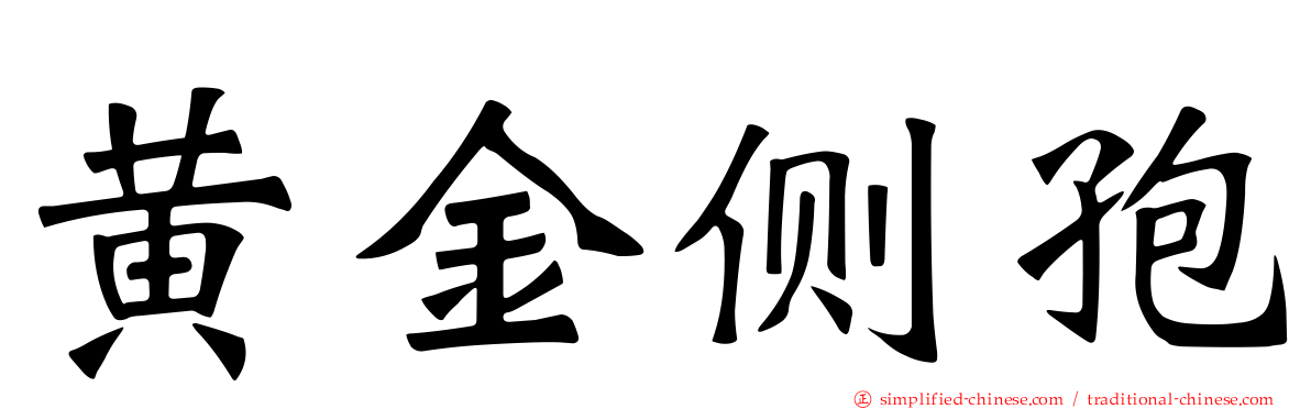黄金侧孢