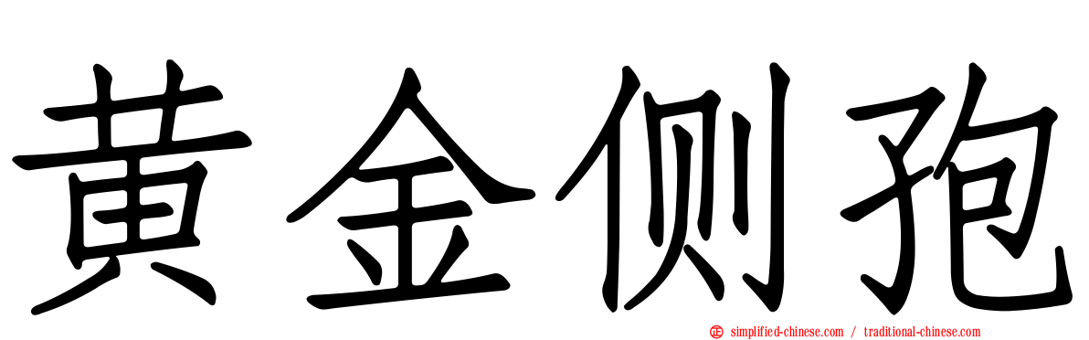 黄金侧孢