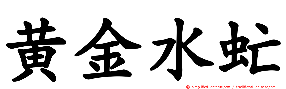 黄金水虻