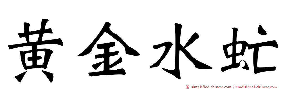 黄金水虻