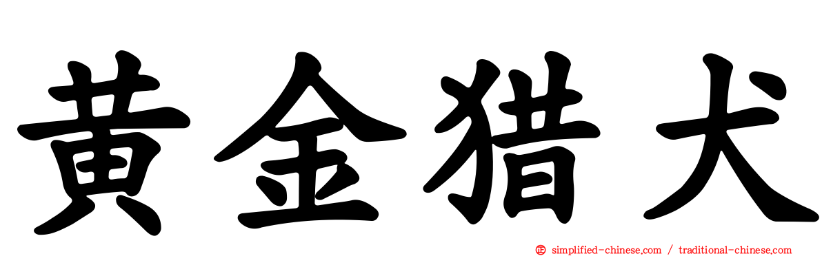黄金猎犬