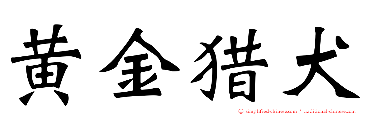 黄金猎犬