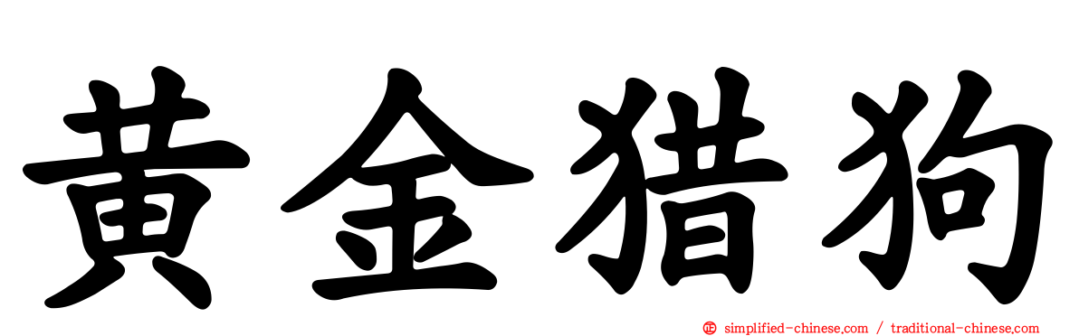 黄金猎狗