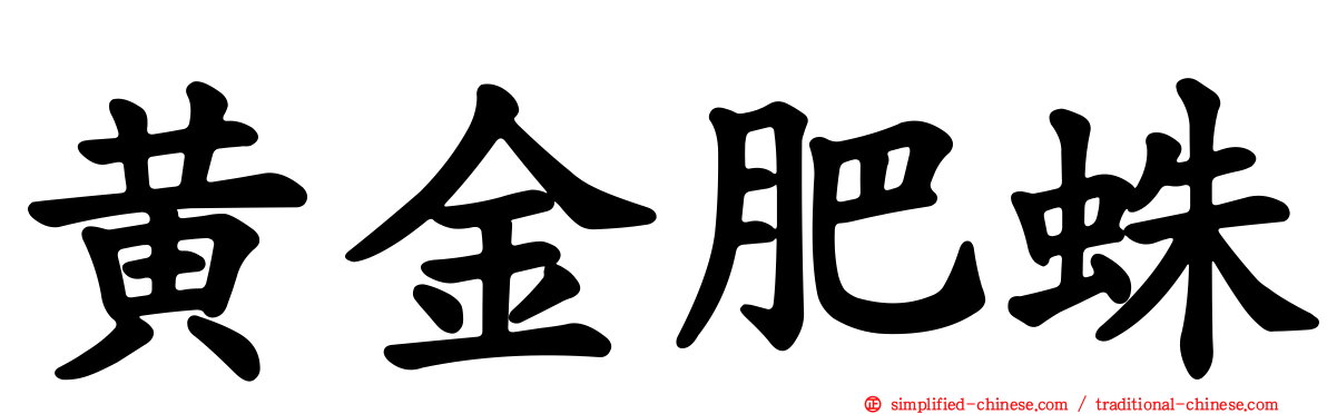 黄金肥蛛