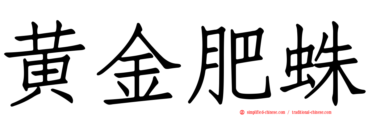 黄金肥蛛