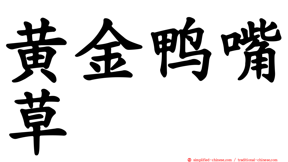 黄金鸭嘴草