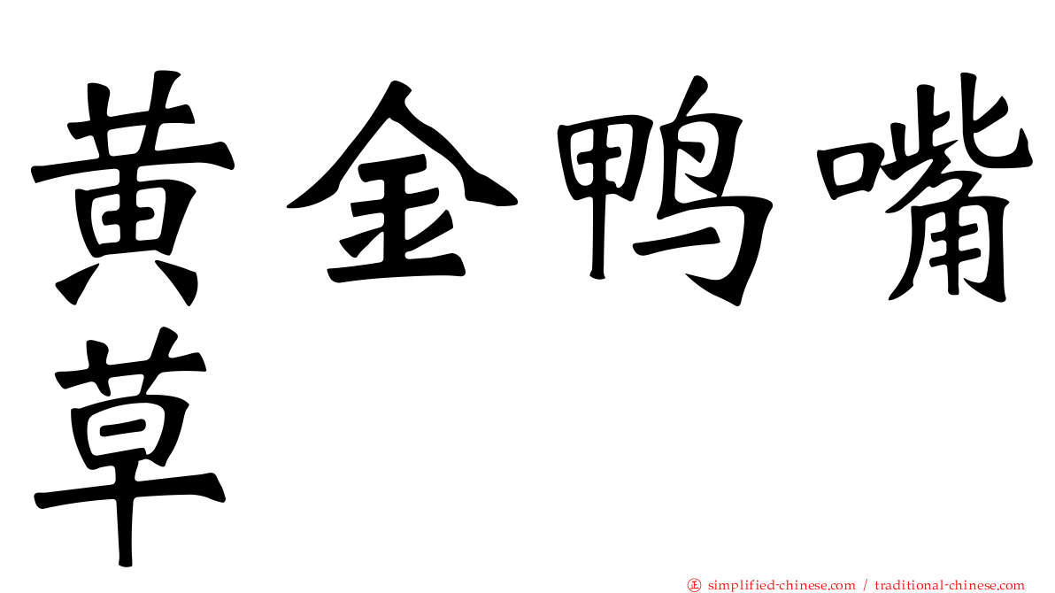 黄金鸭嘴草