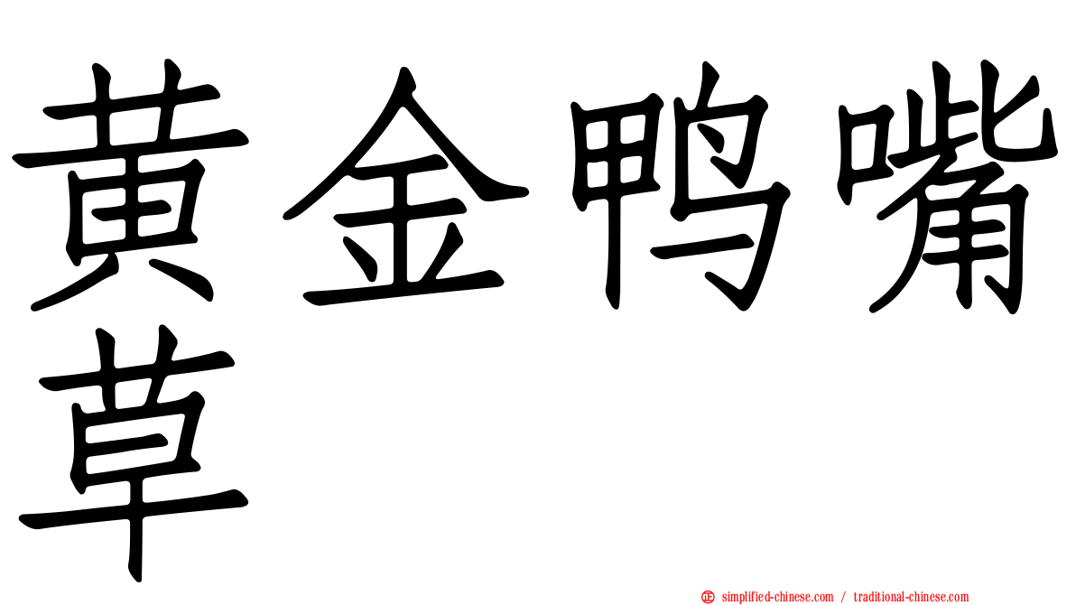 黄金鸭嘴草