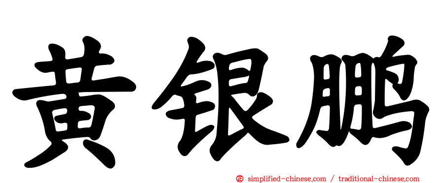 黄银鹏