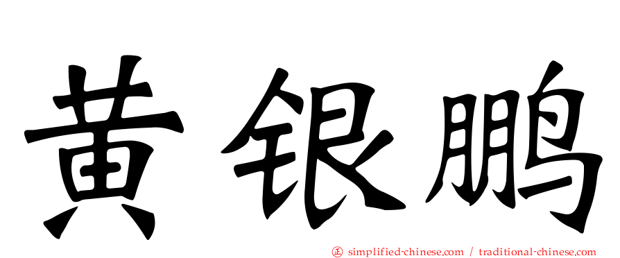 黄银鹏