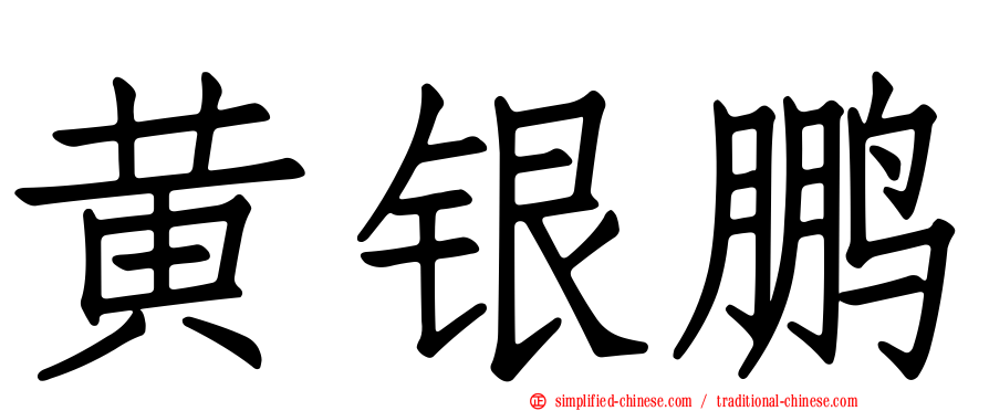 黄银鹏