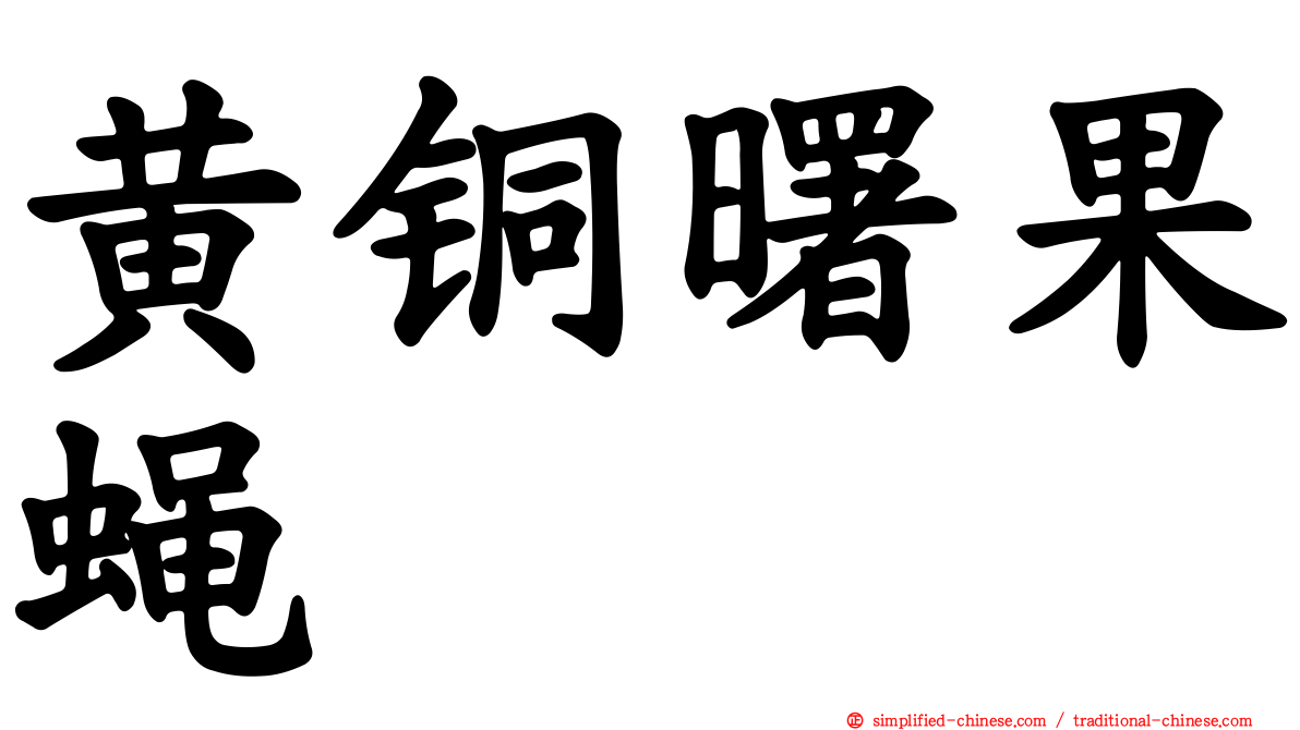 黄铜曙果蝇