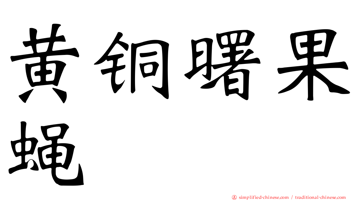 黄铜曙果蝇