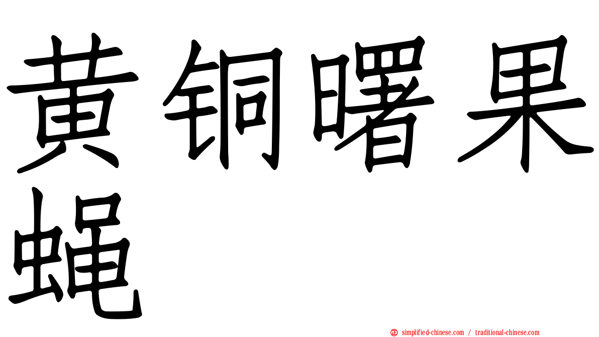 黄铜曙果蝇