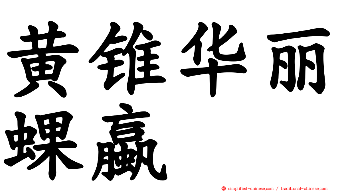黄锥华丽蜾蠃