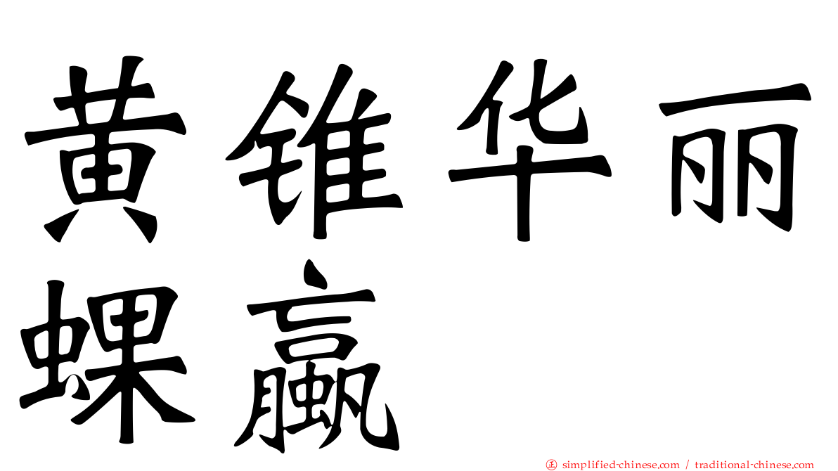 黄锥华丽蜾蠃