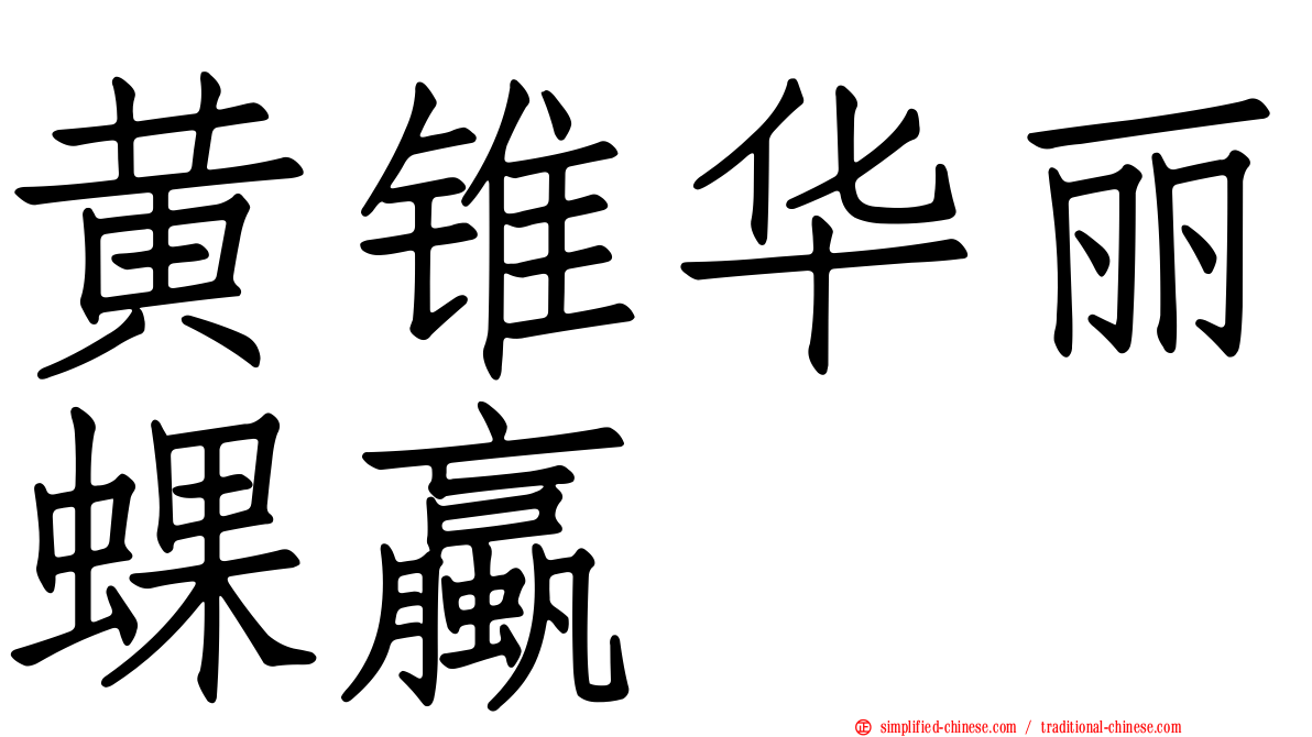 黄锥华丽蜾蠃