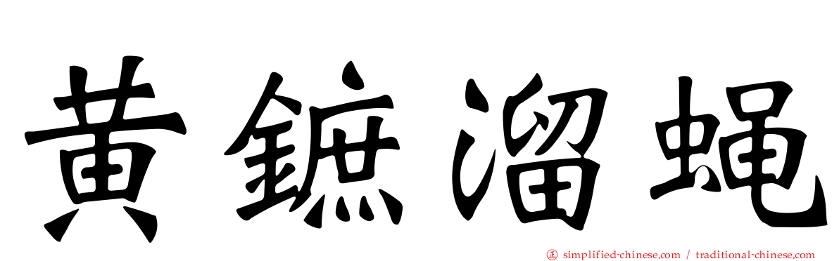 黄鏣溜蝇