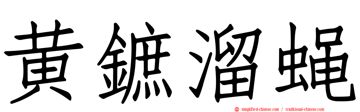 黄鏣溜蝇