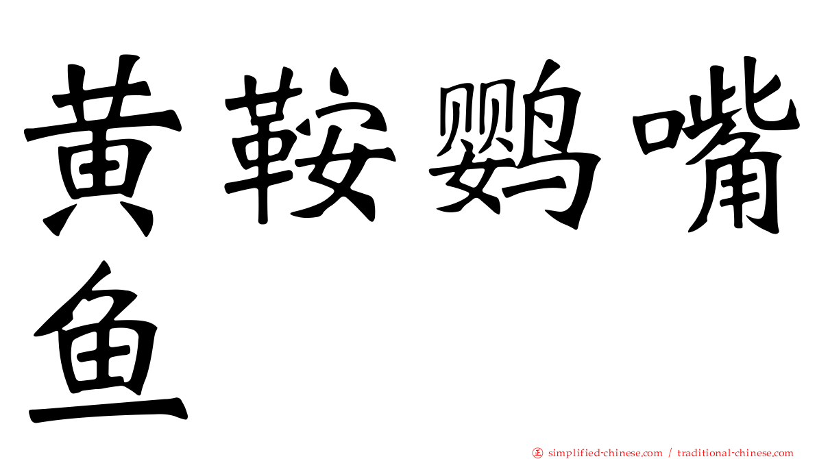 黄鞍鹦嘴鱼
