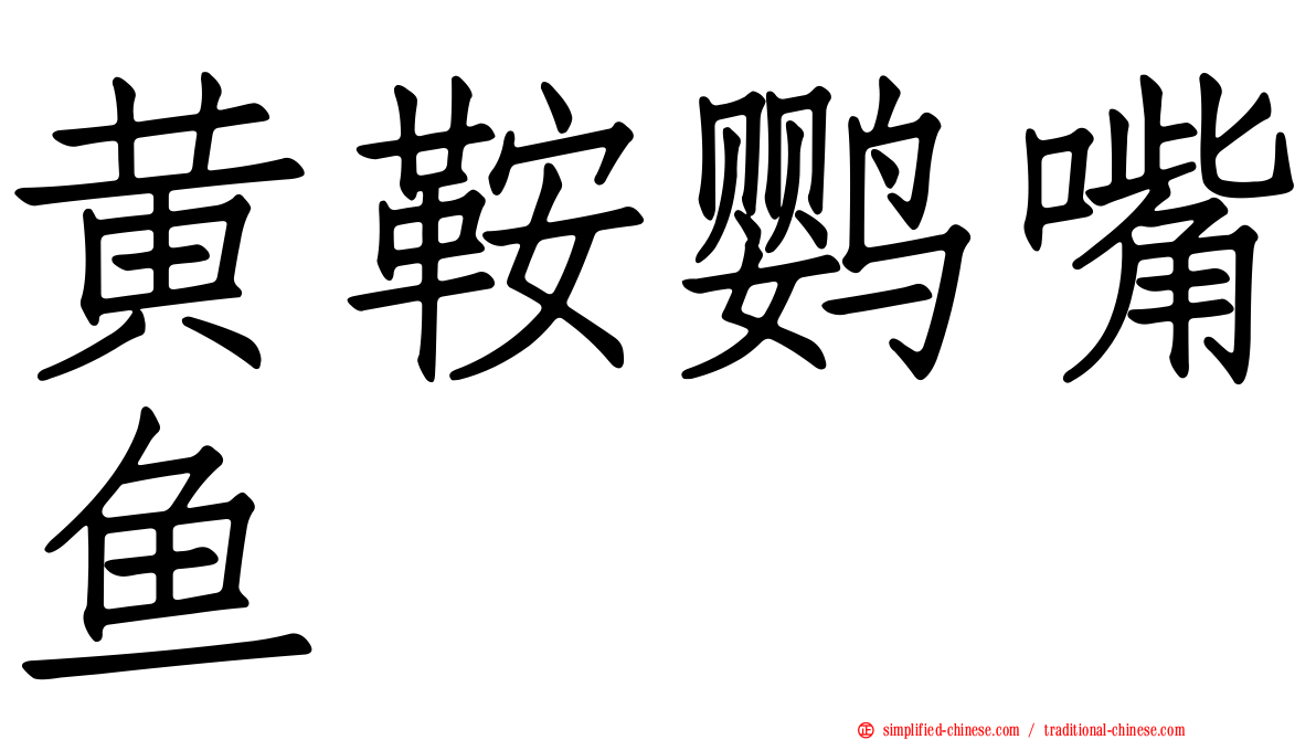 黄鞍鹦嘴鱼