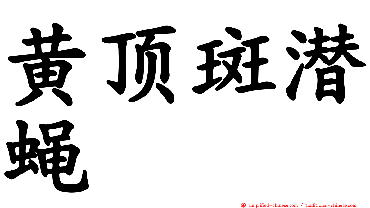黄顶斑潜蝇
