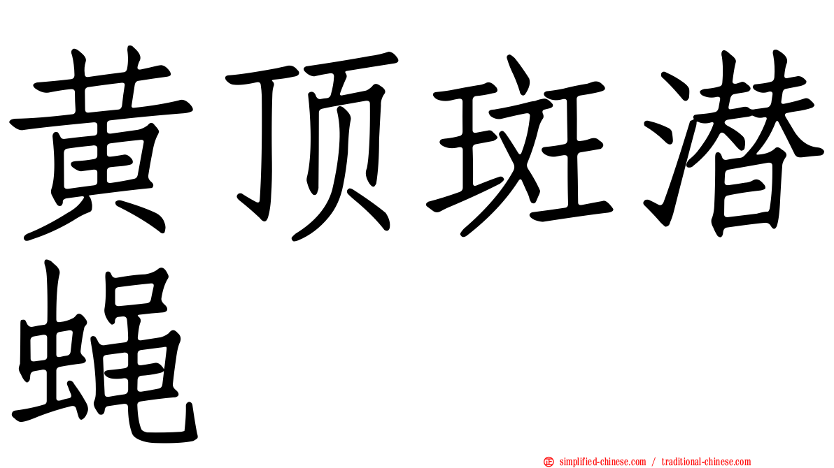 黄顶斑潜蝇