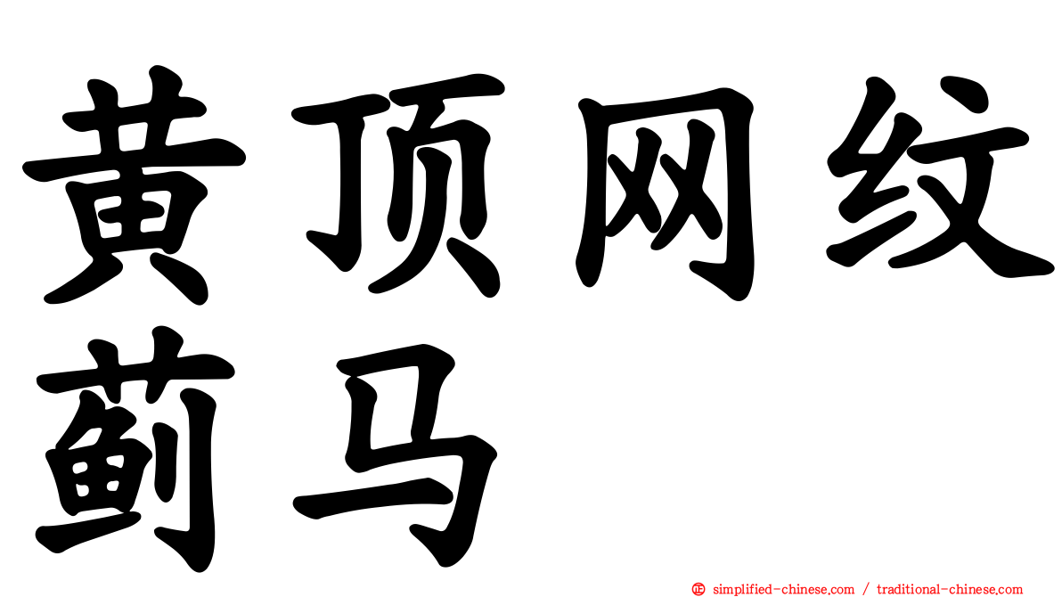 黄顶网纹蓟马