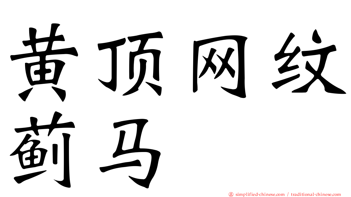 黄顶网纹蓟马