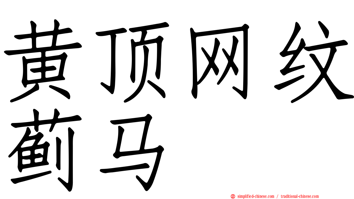 黄顶网纹蓟马