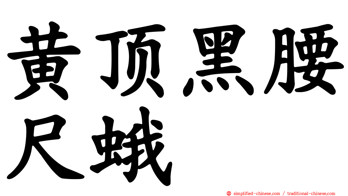 黄顶黑腰尺蛾