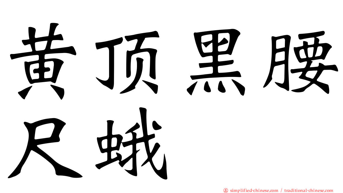 黄顶黑腰尺蛾