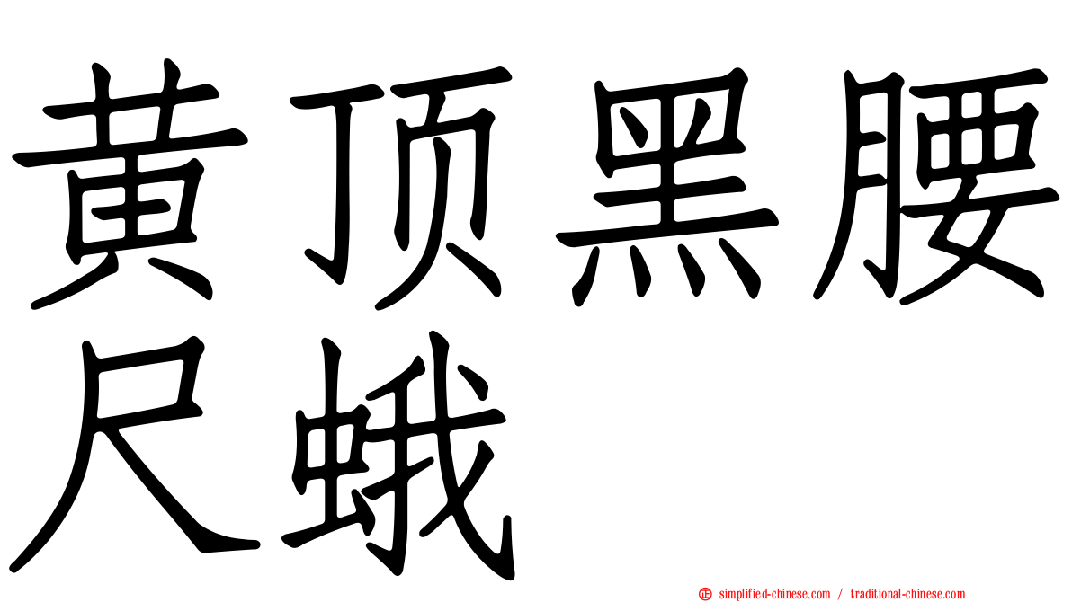 黄顶黑腰尺蛾