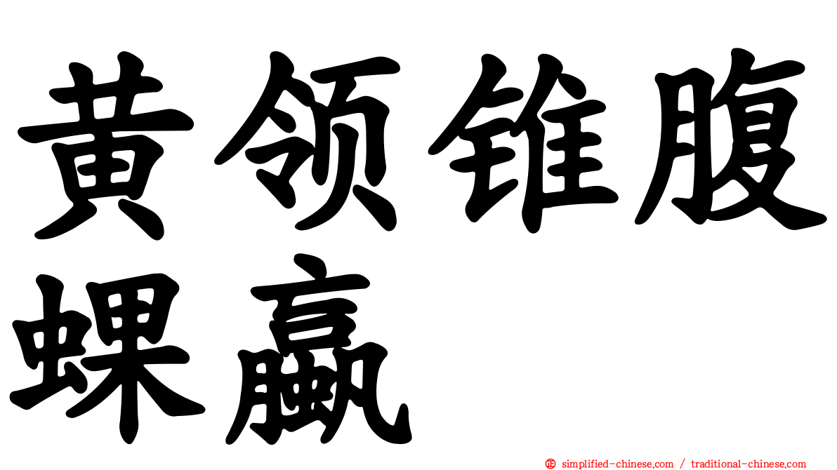 黄领锥腹蜾蠃