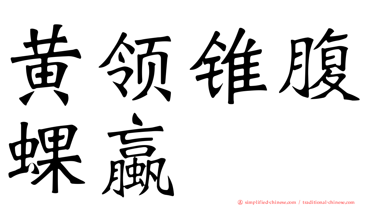 黄领锥腹蜾蠃