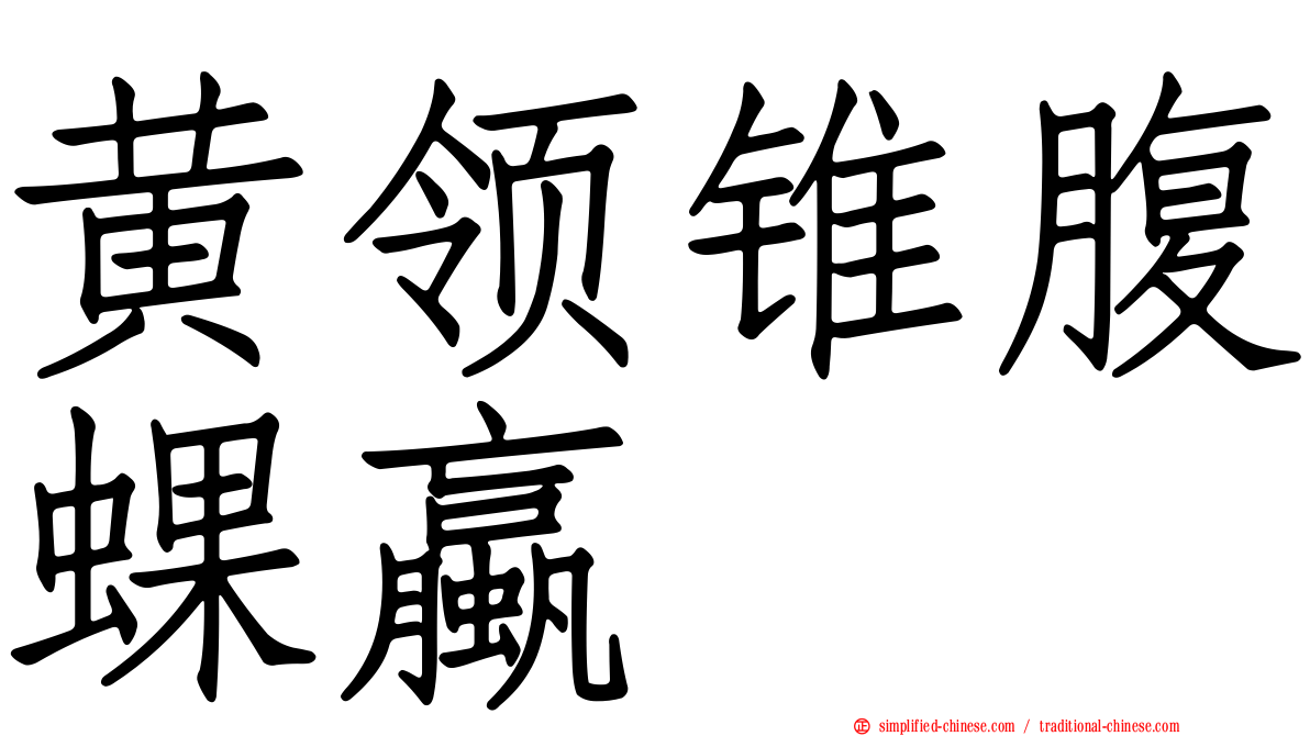 黄领锥腹蜾蠃