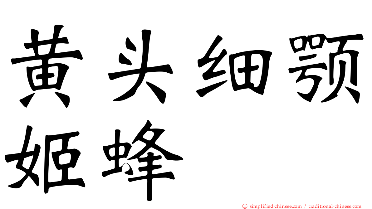 黄头细颚姬蜂