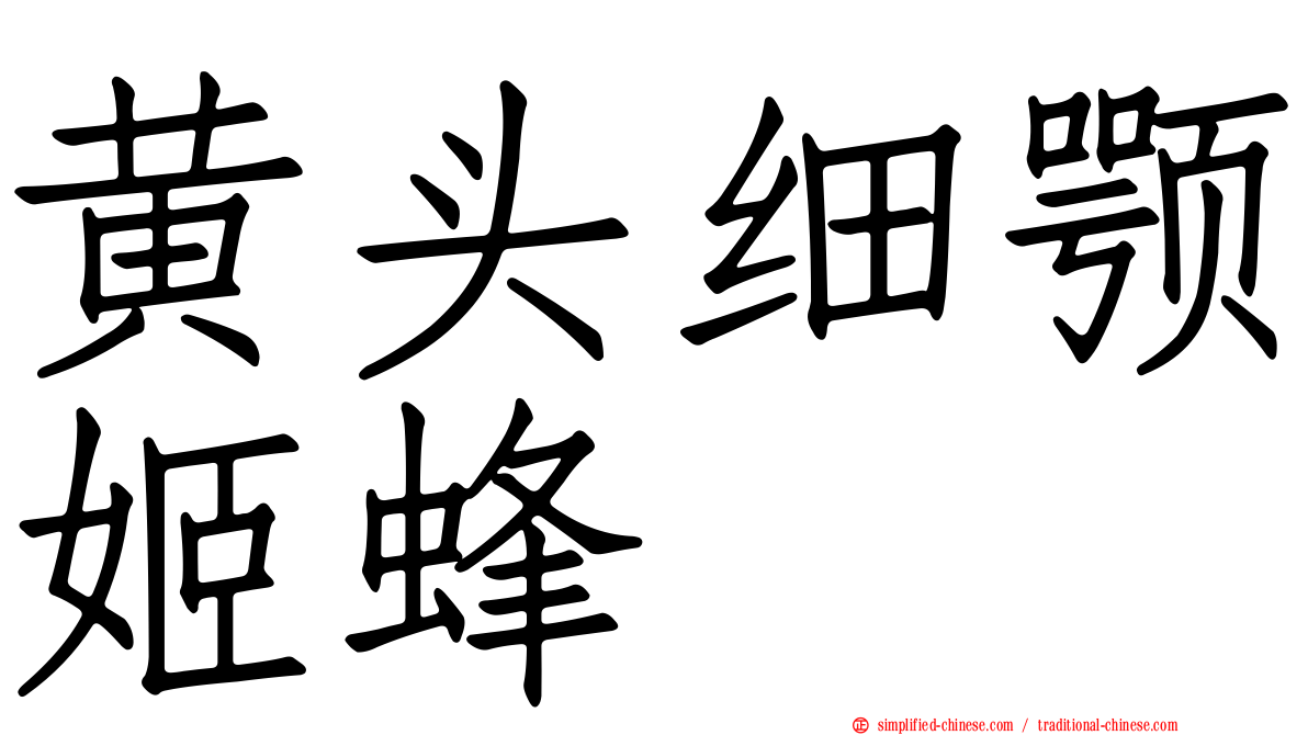 黄头细颚姬蜂