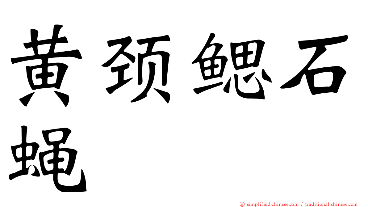 黄颈鳃石蝇