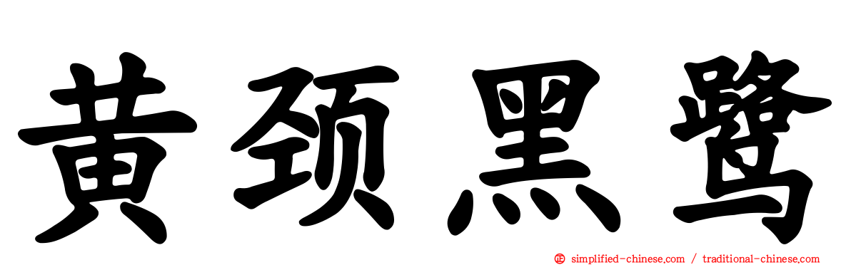 黄颈黑鹭