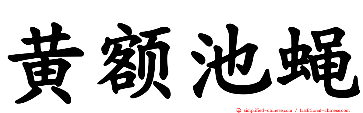 黄额池蝇