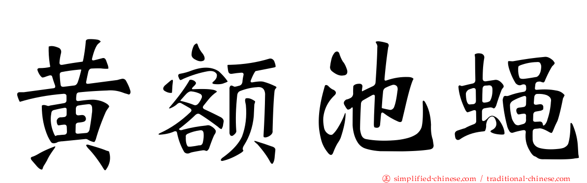 黄额池蝇