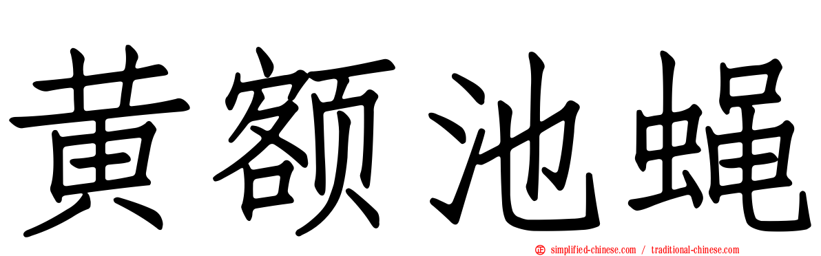 黄额池蝇