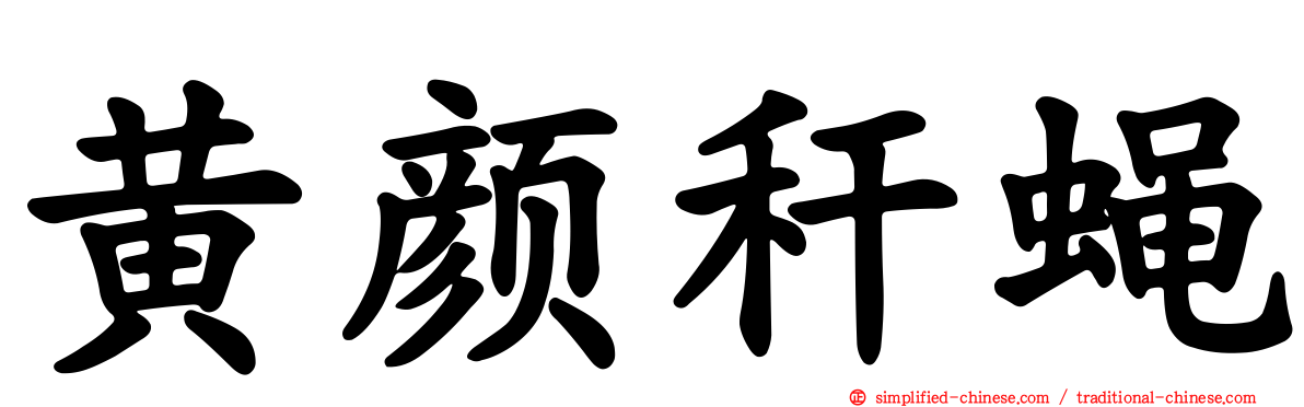 黄颜秆蝇