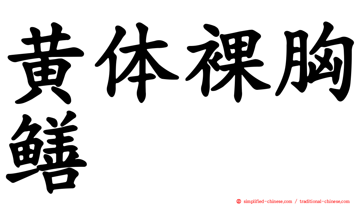黄体裸胸鳝