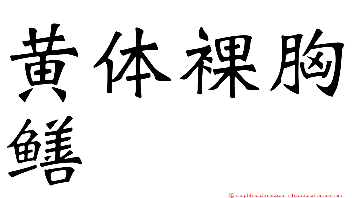 黄体裸胸鳝