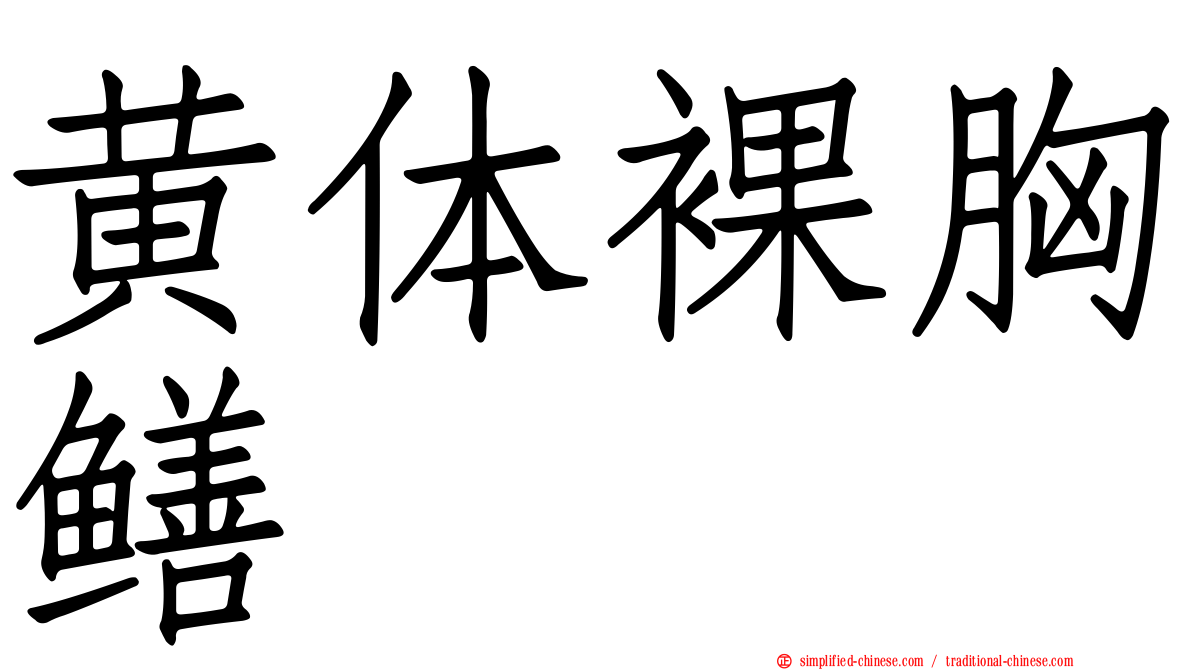黄体裸胸鳝