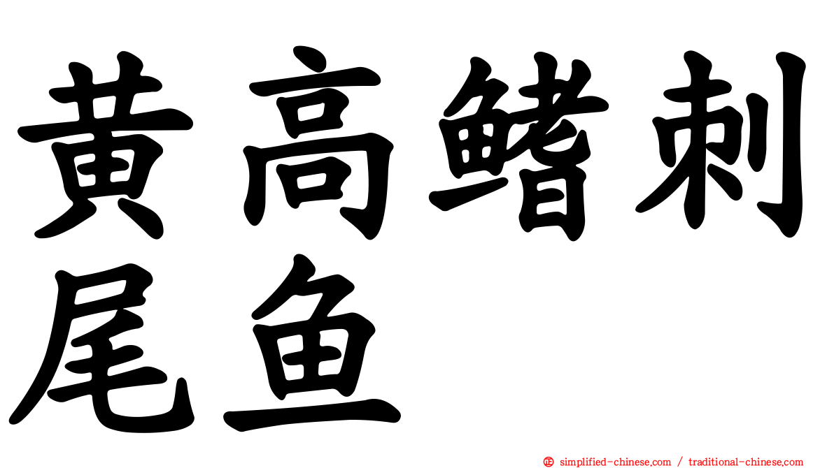 黄高鳍刺尾鱼