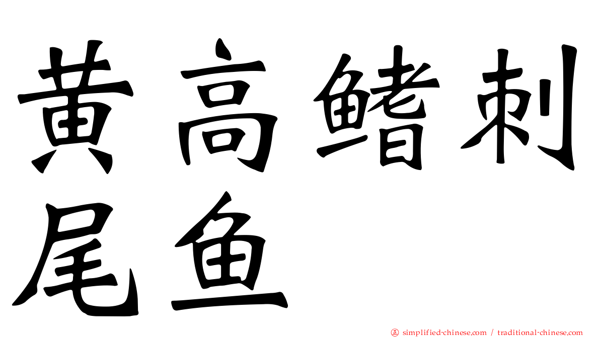 黄高鳍刺尾鱼