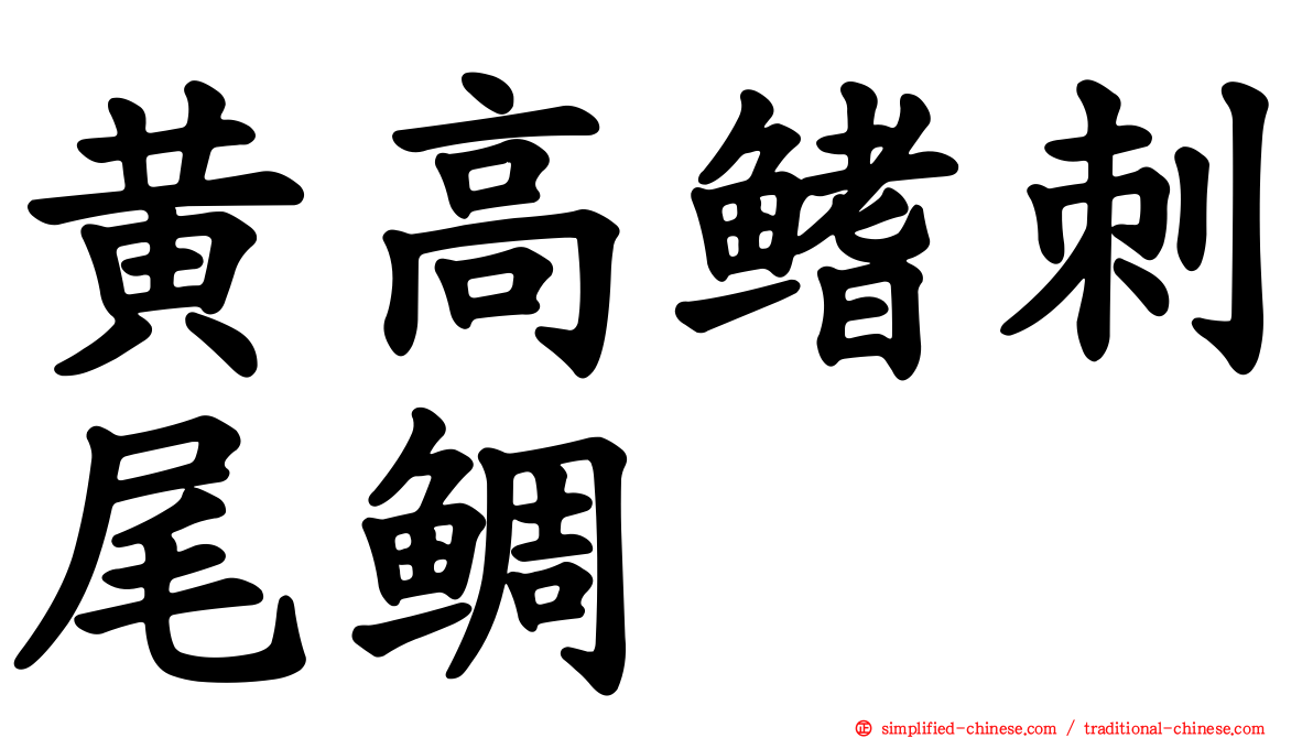 黄高鳍刺尾鲷